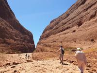 Die Olgas - Uluru-Nationalpark - Ayers Rock