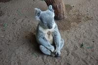 Besuch im Featherdale Wildlife Park