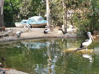 Besuch im Featherdale Wildlife Park