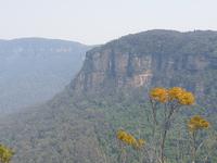 Die grandiose Bergwelt der Blue Mountains