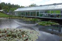 Das Bricksbay-Weingut bei Auckland, Neuseeland