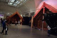 Auckland, Stadt der Segel