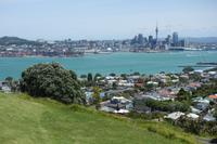 Auckland, Stadt der Segel