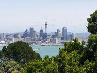 Auckland, Stadt der Segel