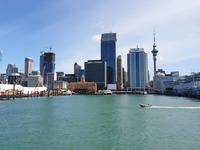 Auckland, Stadt der Segel