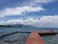 Tahiti Inselrundfahrt