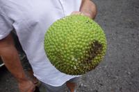 Tahiti Inselrundfahrt