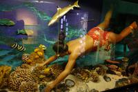 Tahiti Inselrundfahrt