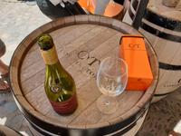 Das größte Weingut im Lande: Concha y Toro, in Maipo-Tal, eines der besten Wein-Anbaugebiete der Welt