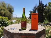 Das größte Weingut im Lande: Concha y Toro, in Maipo-Tal, eines der besten Wein-Anbaugebiete der Welt