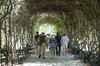 Das größte Weingut im Lande: Concha y Toro, in Maipo-Tal, eines der besten Wein-Anbaugebiete der Welt