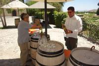 Das größte Weingut im Lande: Concha y Toro, in Maipo-Tal, eines der besten Wein-Anbaugebiete der Welt