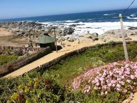 Isla Negra, das Haus von Pablo Neruda an der Pazifikküste