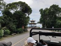 Regenwald Tijuca in Rio de Janeiro