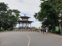 Regenwald Tijuca in Rio de Janeiro