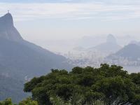 Regenwald Tijuca in Rio de Janeiro