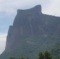 Regenwald Tijuca in Rio de Janeiro