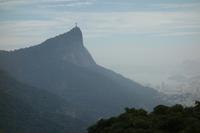 Regenwald Tijuca in Rio de Janeiro