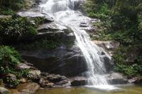 Regenwald Tijuca in Rio de Janeiro