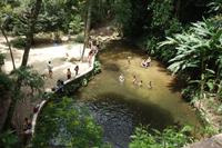 Regenwald Tijuca in Rio de Janeiro