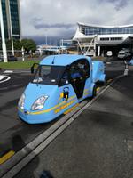 Auckland