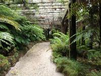 Auckland