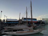 Auckland
