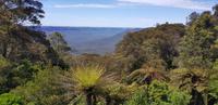 Ausflug in die Blue Mountains