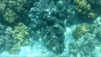 Australien - Great Barrier Reef