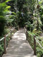 Australien Kuranda