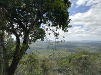 Australien Kuranda