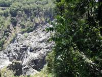 Australien Kuranda
