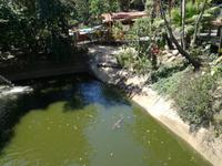 Australien Kuranda