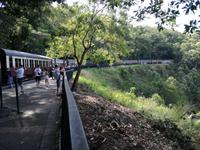 Australien Kuranda