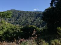 Australien Kuranda