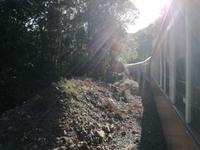 Australien Kuranda