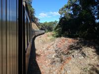 Australien Kuranda