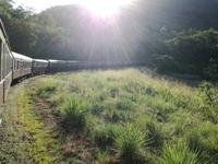 Australien Kuranda