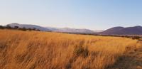 Bakubung Lodge im Pilanesberg Nationalpark