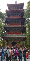 Besichtigung der Tempelanlagen von Nikko