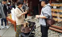 Besichtigung der Tempelanlagen von Nikko