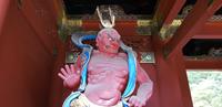 Besichtigung der Tempelanlagen von Nikko