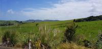 Fahrt zum BRICKSBAY Weingut 