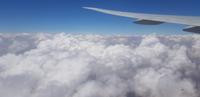 Flug von Johannesburg nach Hong Kong