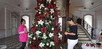 Inselrundfahrt auf Tahiti - Hôtel de ville de Papeete