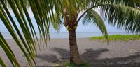 Inselrundfahrt auf Tahiti