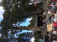 Japan - Nikko