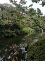 Japan Teezeremonie