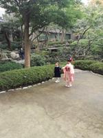 Japan Teezeremonie