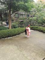 Japan Teezeremonie
